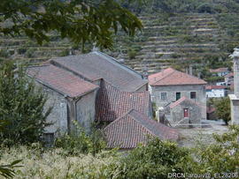 Fotografia 007