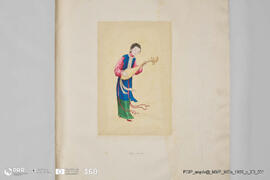 Título desconhecido (Dama tocando instrumento musical)