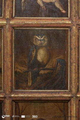 Natureza Morta com Mocho