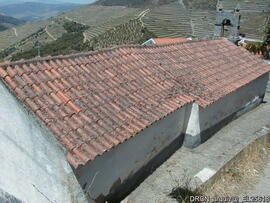 Fotografia 012