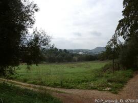 Fotografia 004