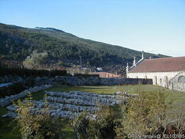Fotografia 003