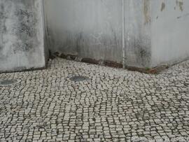 Fotografia