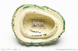 Jarro musgado Lagarto