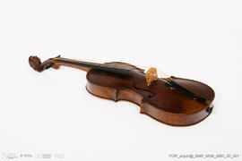 Violino