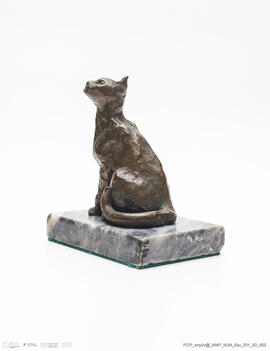 Gato Sentado