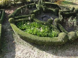 Jardim