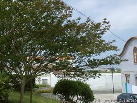 Fotografia