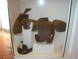 Fotografia 003