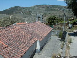 Fotografia 010