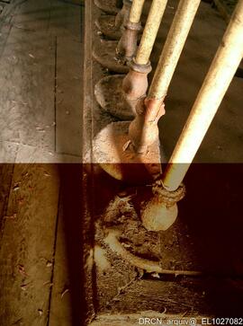 Fotografia 019