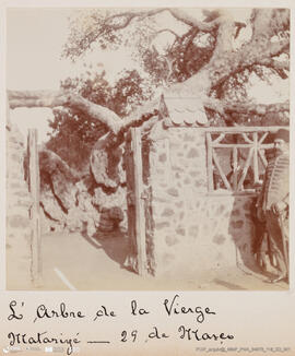 Álbum fotográfico - Viagem de Fev-Mai 1903 ao Mediterrâneo