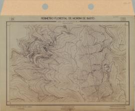 Perímetro Florestal - Planta Aerofogramétrica (1959-04)