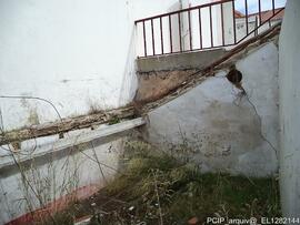 Fotografia 012