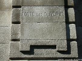 Fotografia 008