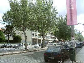 Fotografia 008