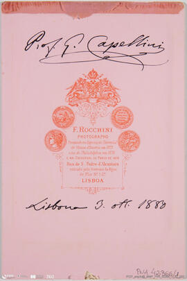 Álbum fotográfico - Álbum sem fotografias com fólios decorados com motivos florais