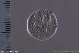 Denarius