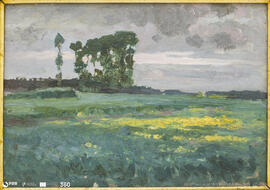 Campos