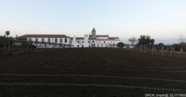 Campo agrícola