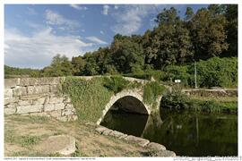 Fotografia 006