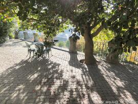Jardim