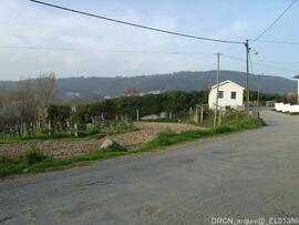 Fotografia 005