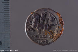 Denarius