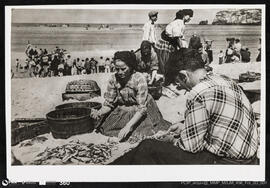 Amanhar o peixe no areal