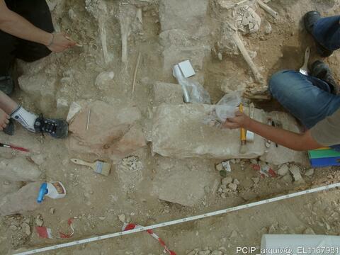 Open original Objeto digital