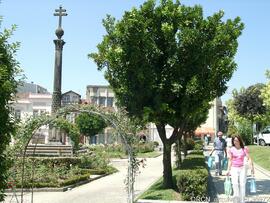 Fotografia 016