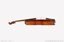 Violino