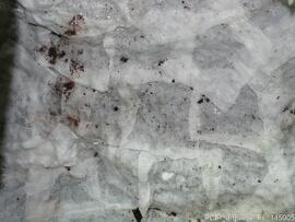 Escultura