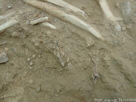 Sondagens  arqueológicas