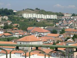 Fotografia 002