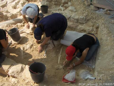 Open original Objeto digital