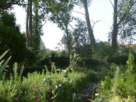 Fotografia: exterior e area envolvente