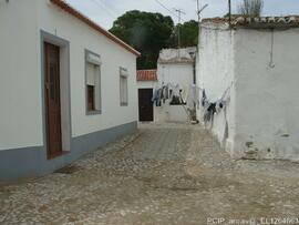 Fotografia 029