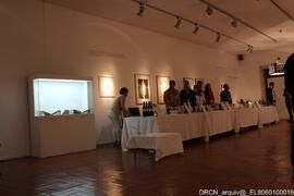 Fotografia 016