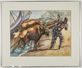 Bois puxando os barcos