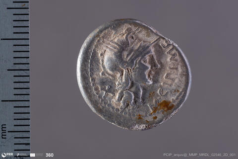 Open original Objeto digital