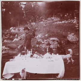 Fotografia - Paisagem - Viagens Reais – Gressoney /pic-nic no campo, mesa com serviço de chá