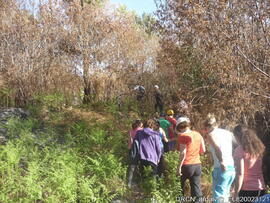 Fotografia 003