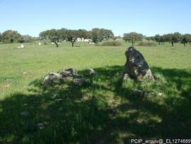 Fotografia 004