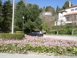 Fotografia: exterior das instalacoes