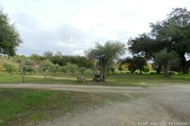 Fotografia (exterior)