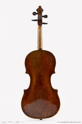 Violino