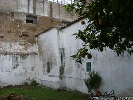 Fotografia 018