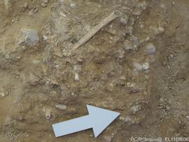 Sondagens  arqueológicas