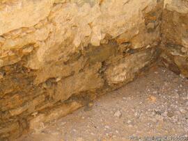 Intervenção de conservação e restauro